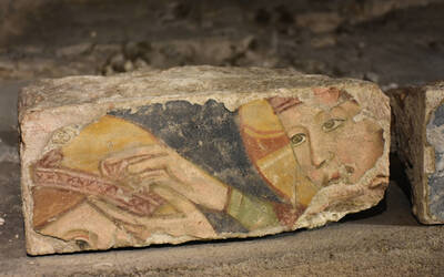 Immagine decorativa