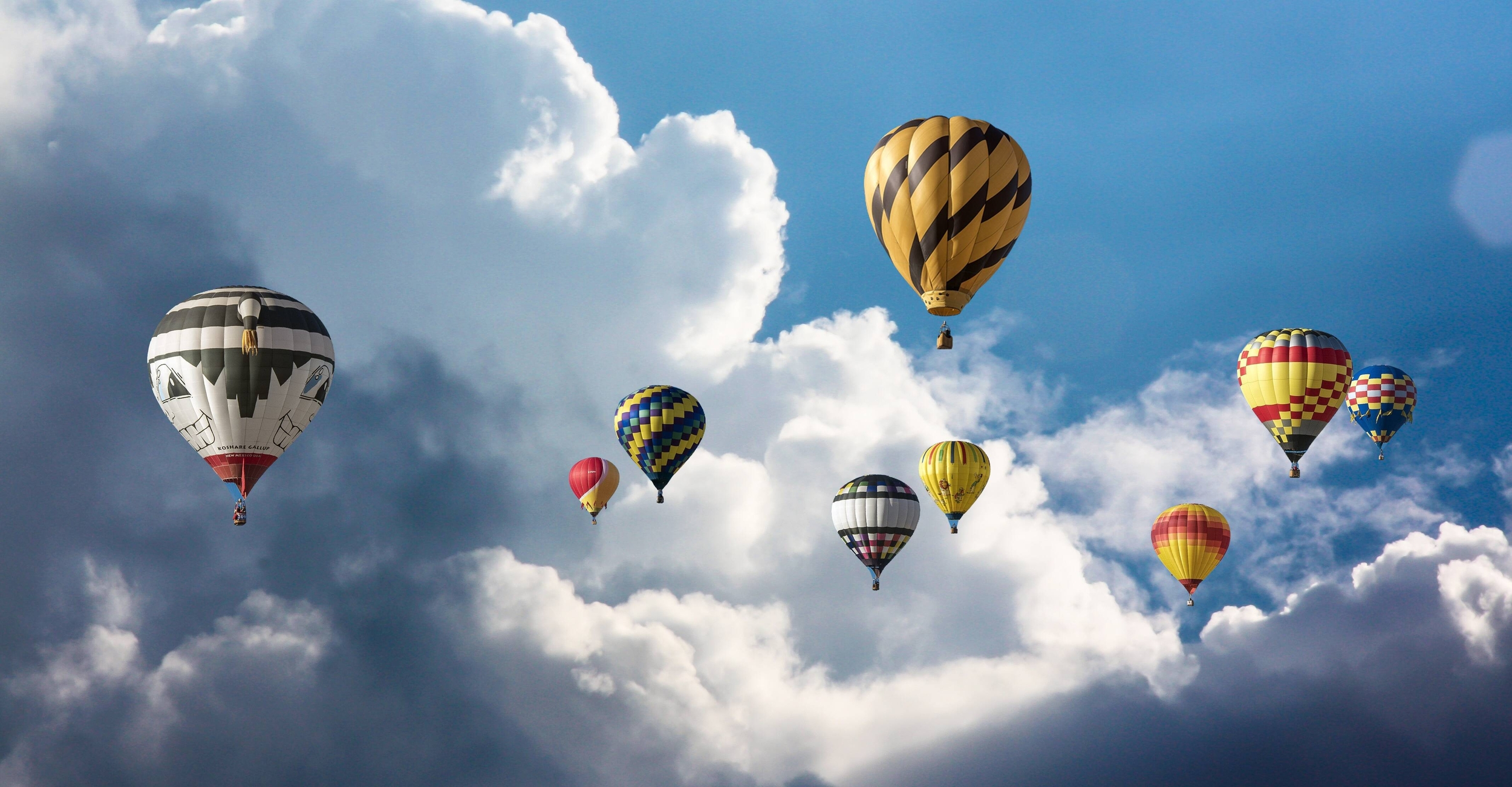 Immagine: Balloon Fest