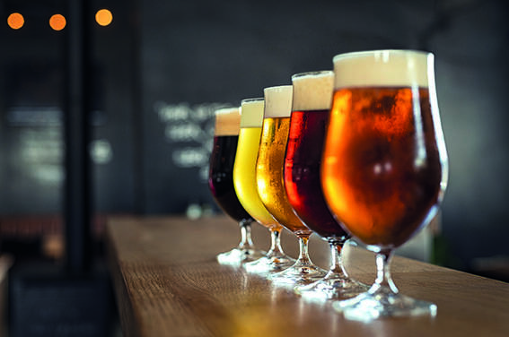 Immagine: Beer tasting Trentino - Palazzo Roccabruna 