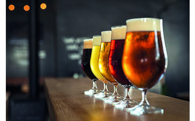 Immagine: Beer tasting Trentino - Palazzo Roccabruna 