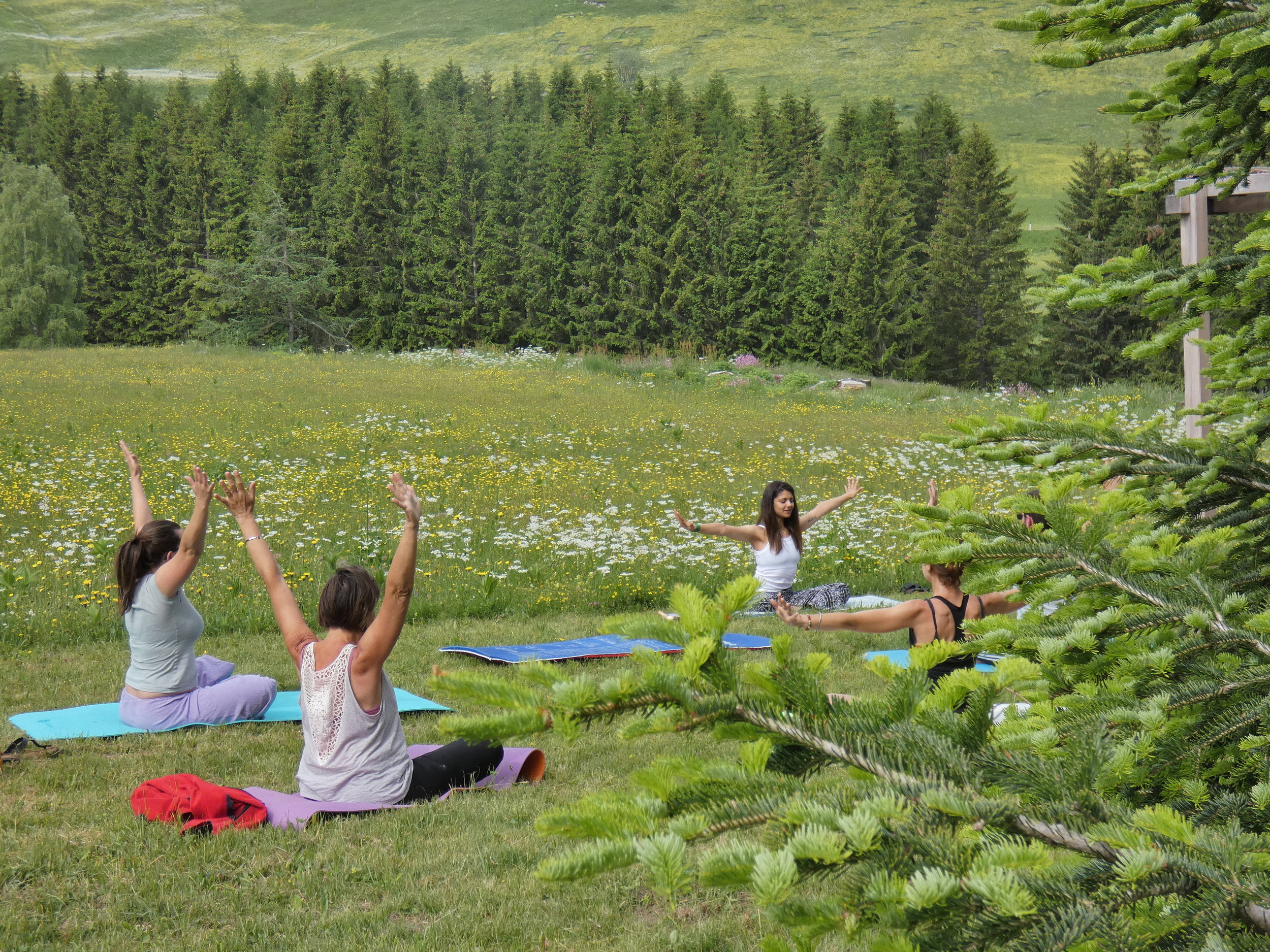 Yoga Viote