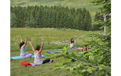 Yoga Viote