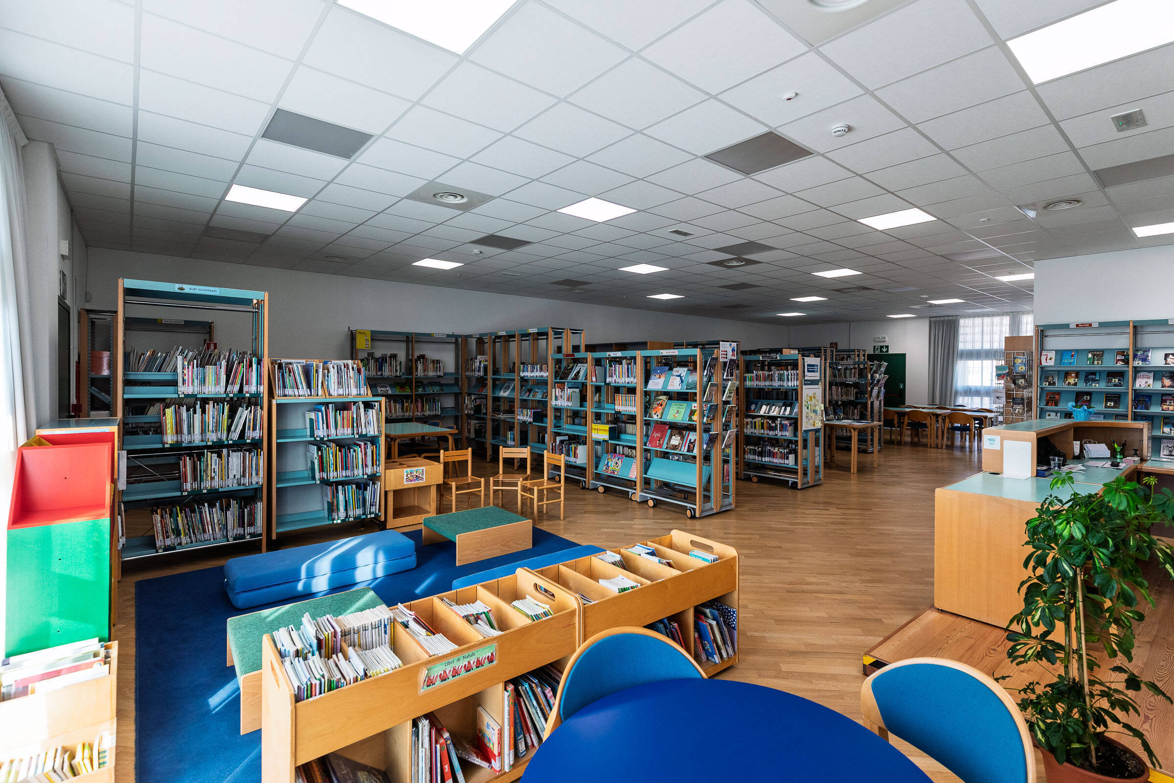 Immagine: Biblioteca Meano