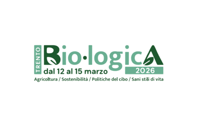 Immagine decorativa