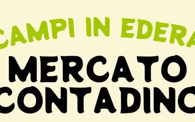 Immagine: Campi in Edera