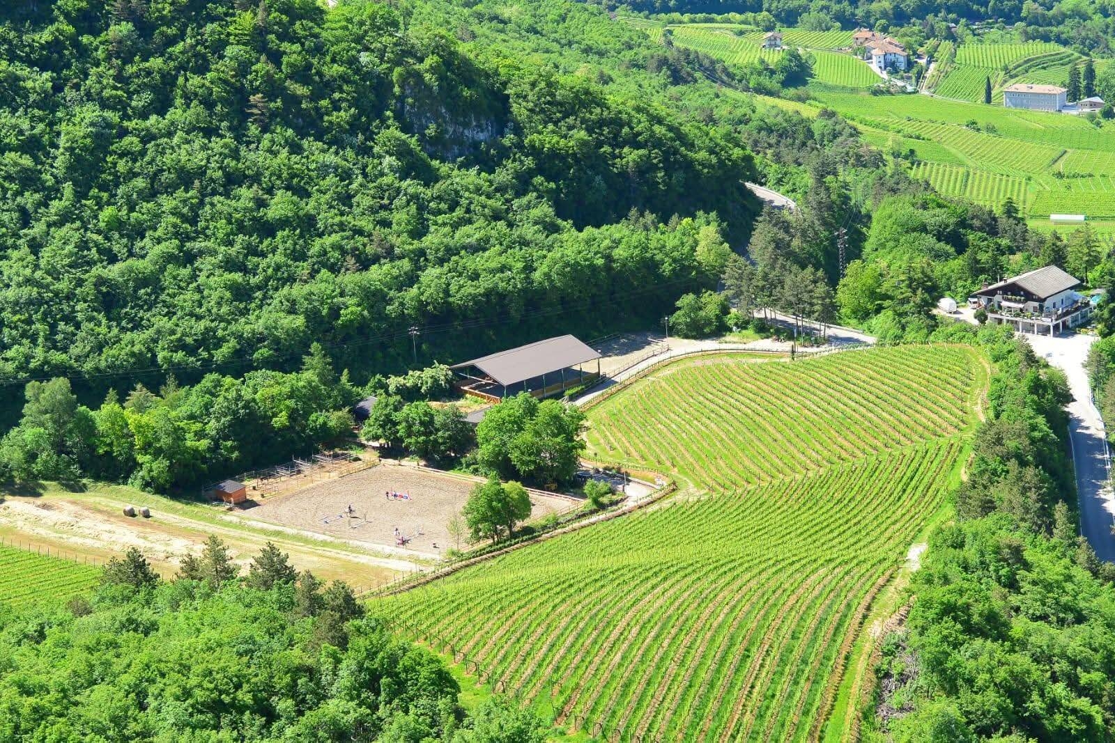 Immagine: Centro equitazione "La Roccia"