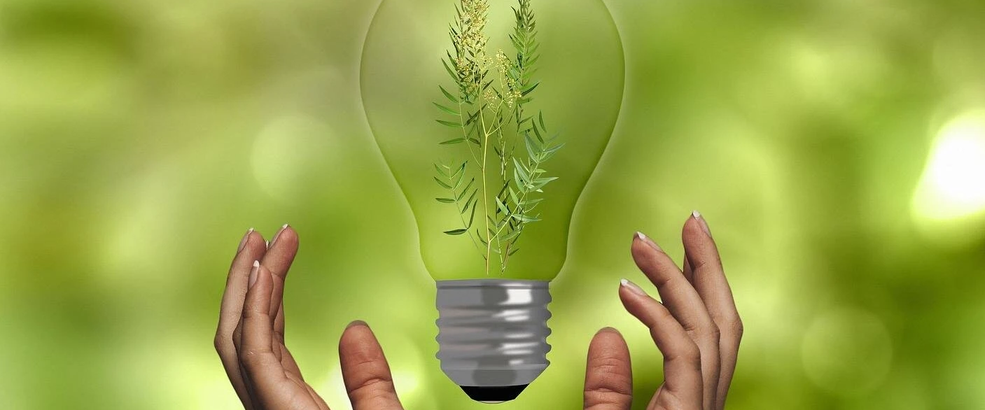immagine decorativa