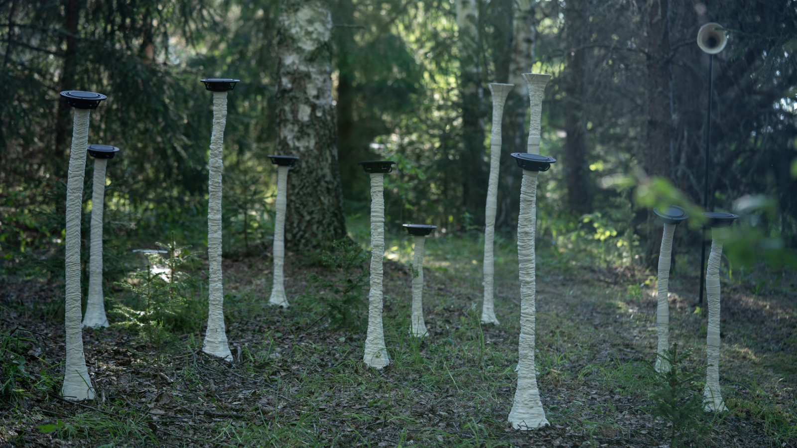 Installazione sonora funghi