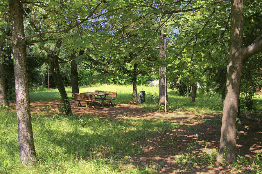 Immagine: Giardino Garbari
