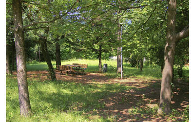 Immagine: Giardino Garbari
