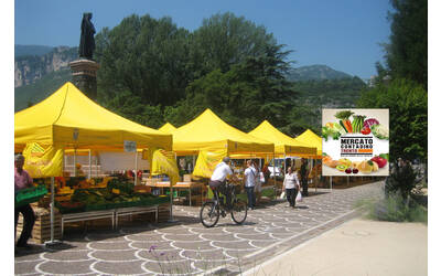 Mercato contadino di piazza Dante