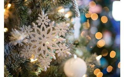 fiocco di neve appeso sull'albero