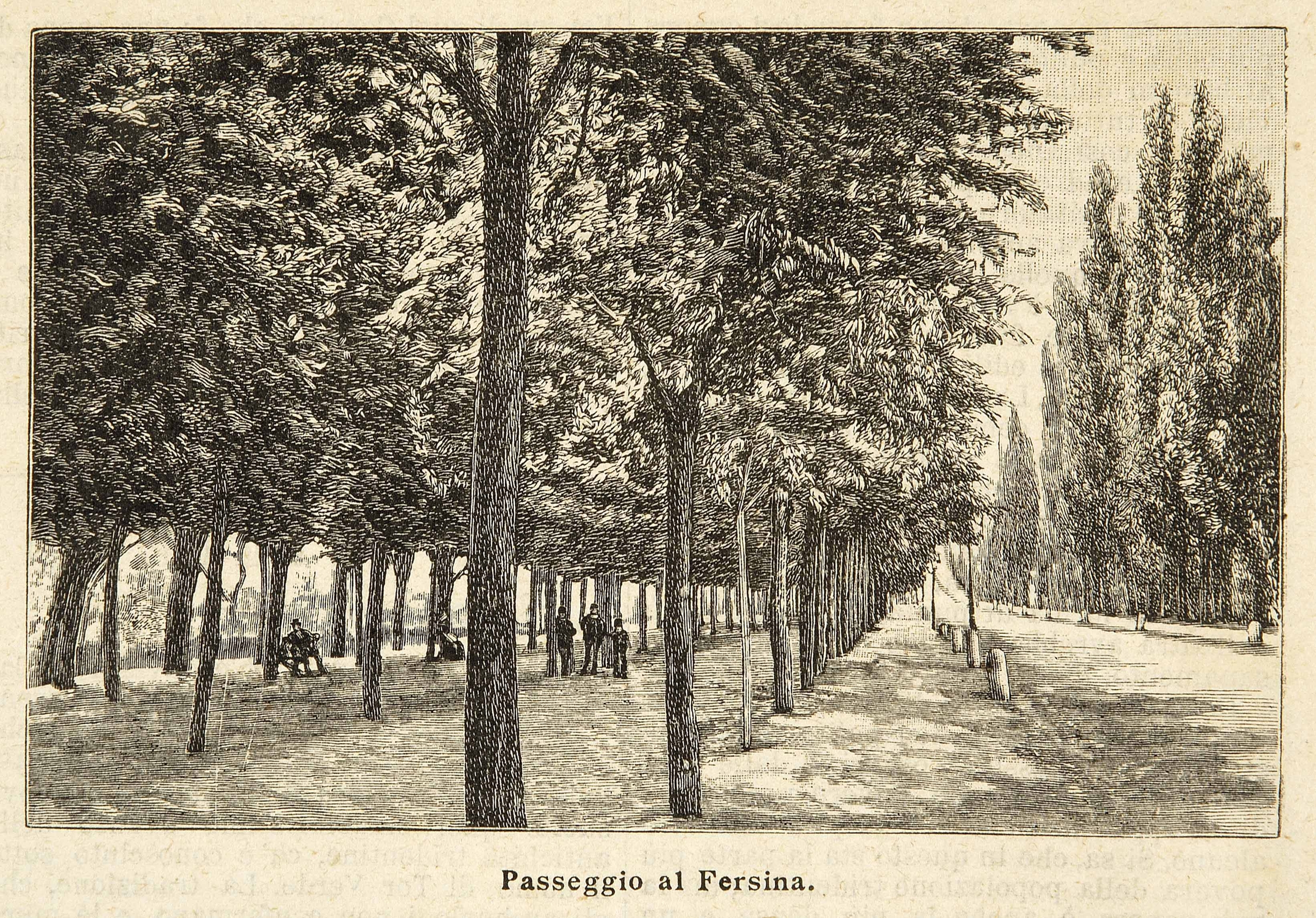 Immagine decorativa