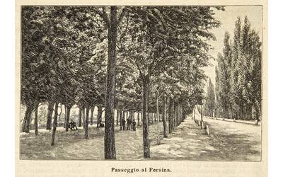 Immagine decorativa