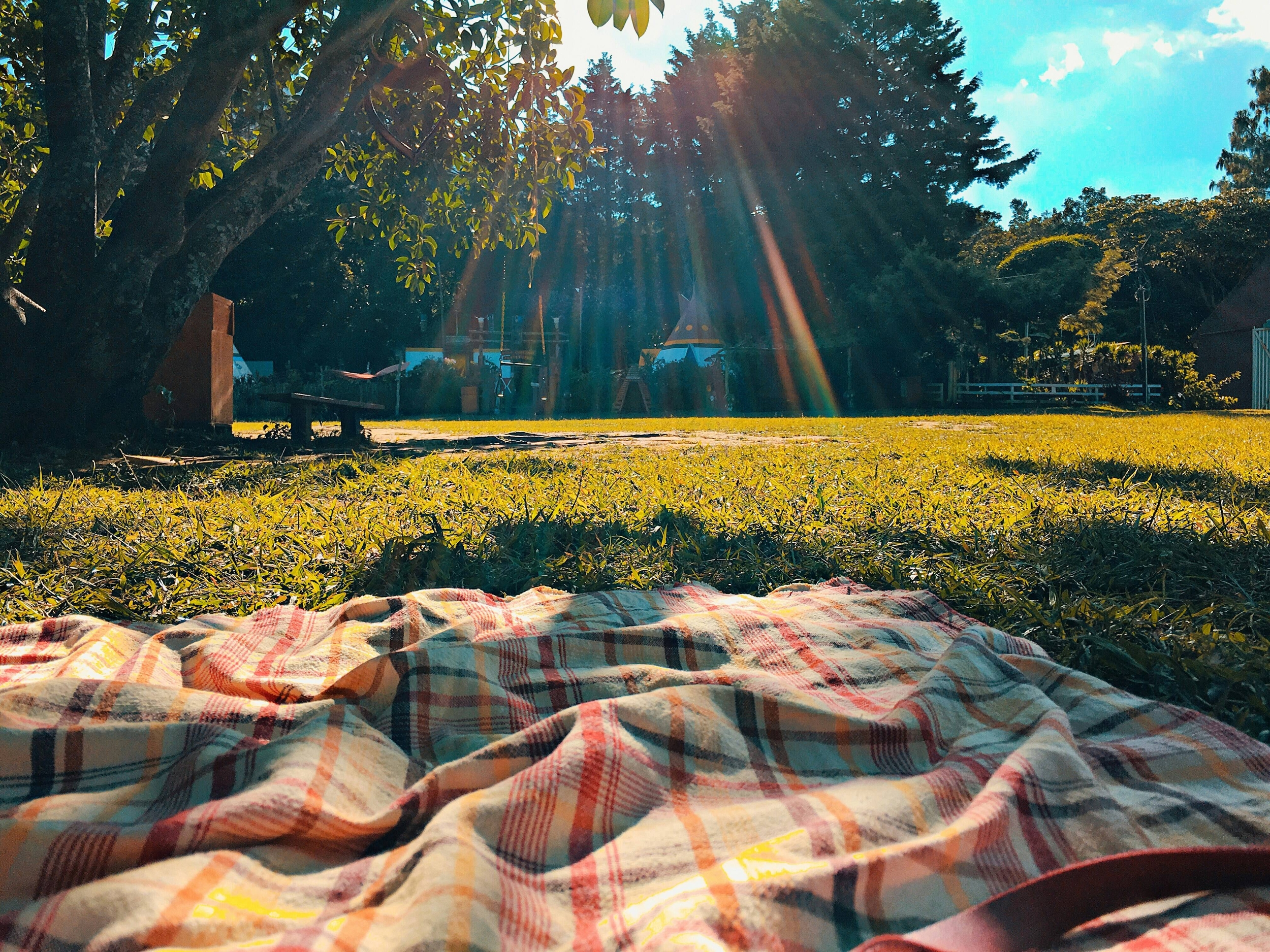 immagine di una coperta per pic nic in un prato 