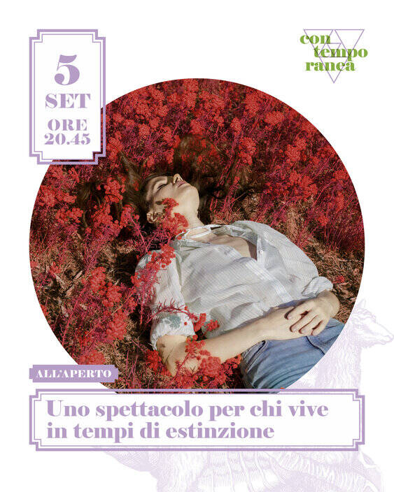 Immagine decorativa